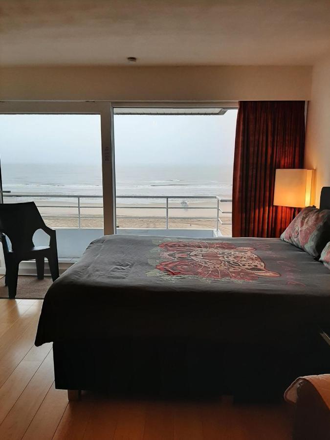 Studionusi Blankenberge Exteriér fotografie