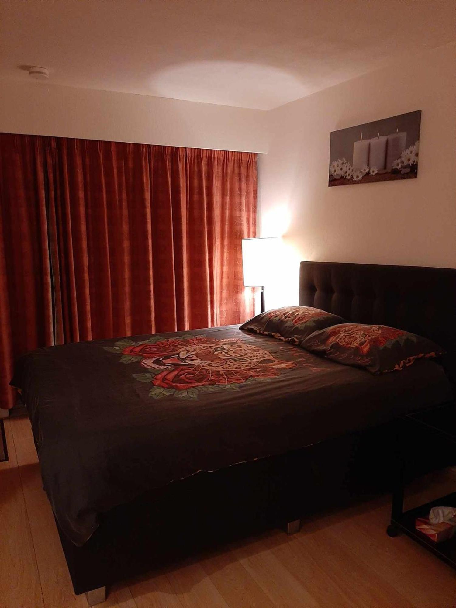 Studionusi Blankenberge Exteriér fotografie